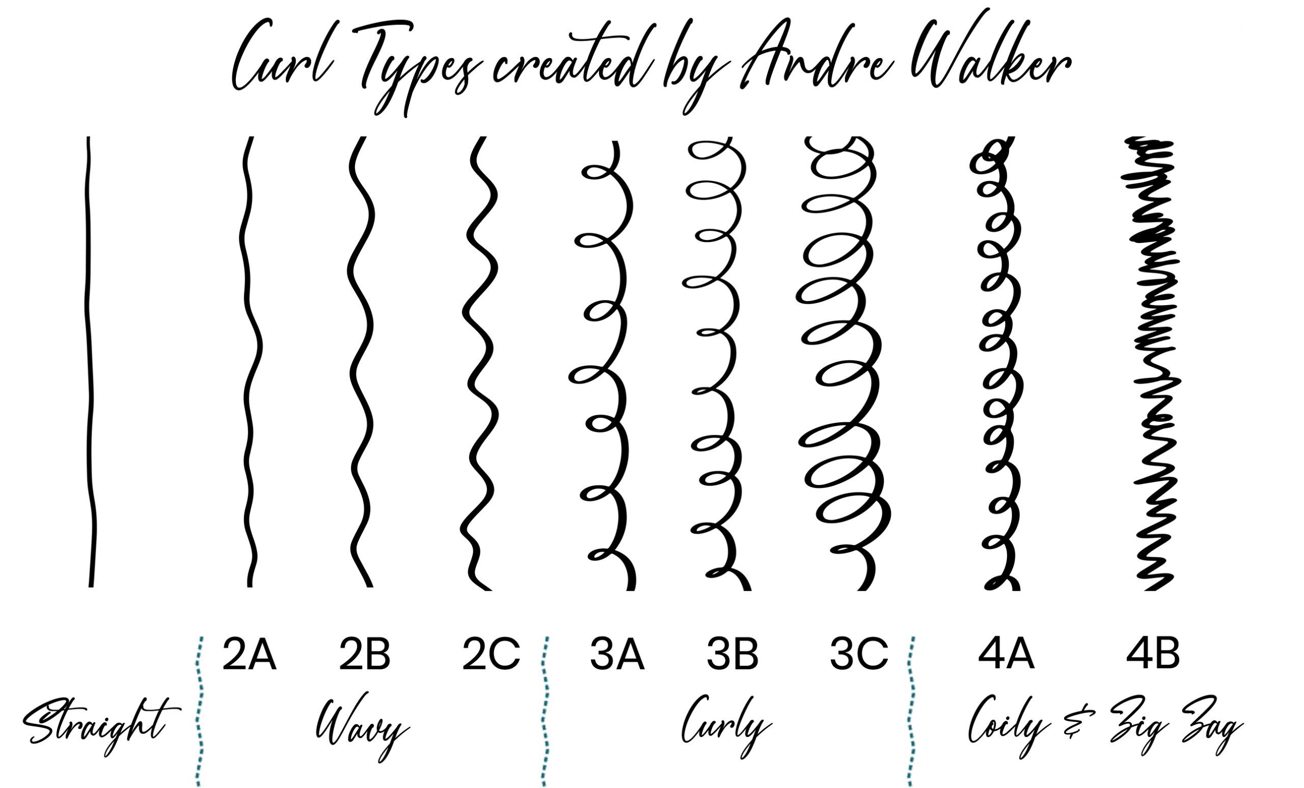 Curl Types Chart