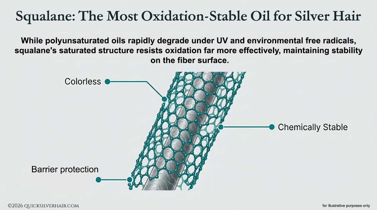 Squalane The Most Oxidation-Stable Oil for Silver Hair infographic<br />
