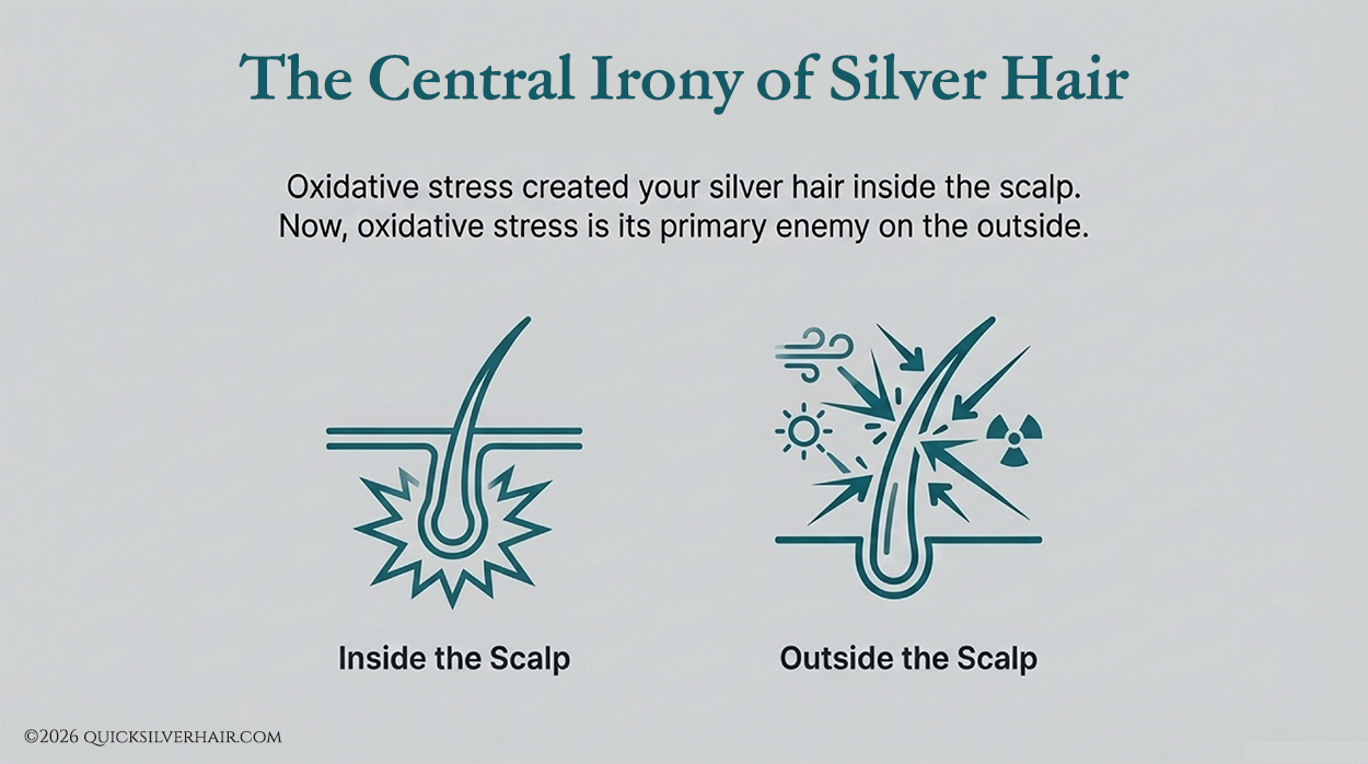 The Central Irony of Silver Hair infographic