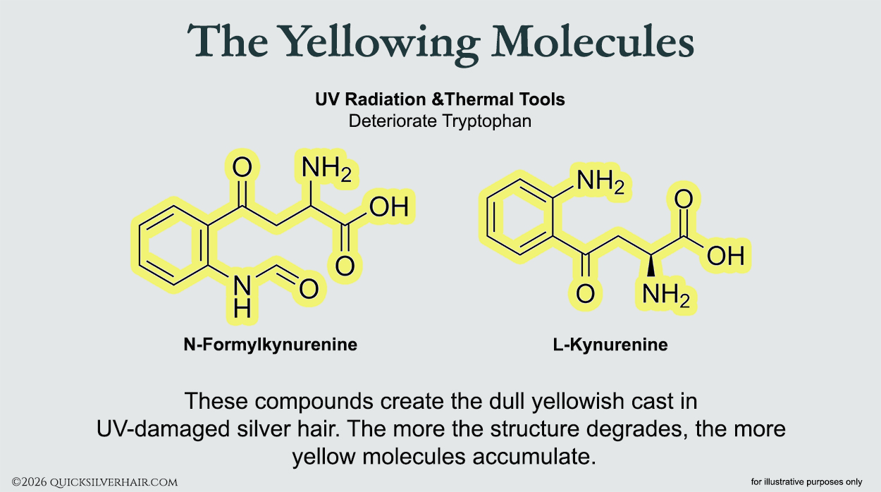 The Yellowing Molecules. infographic