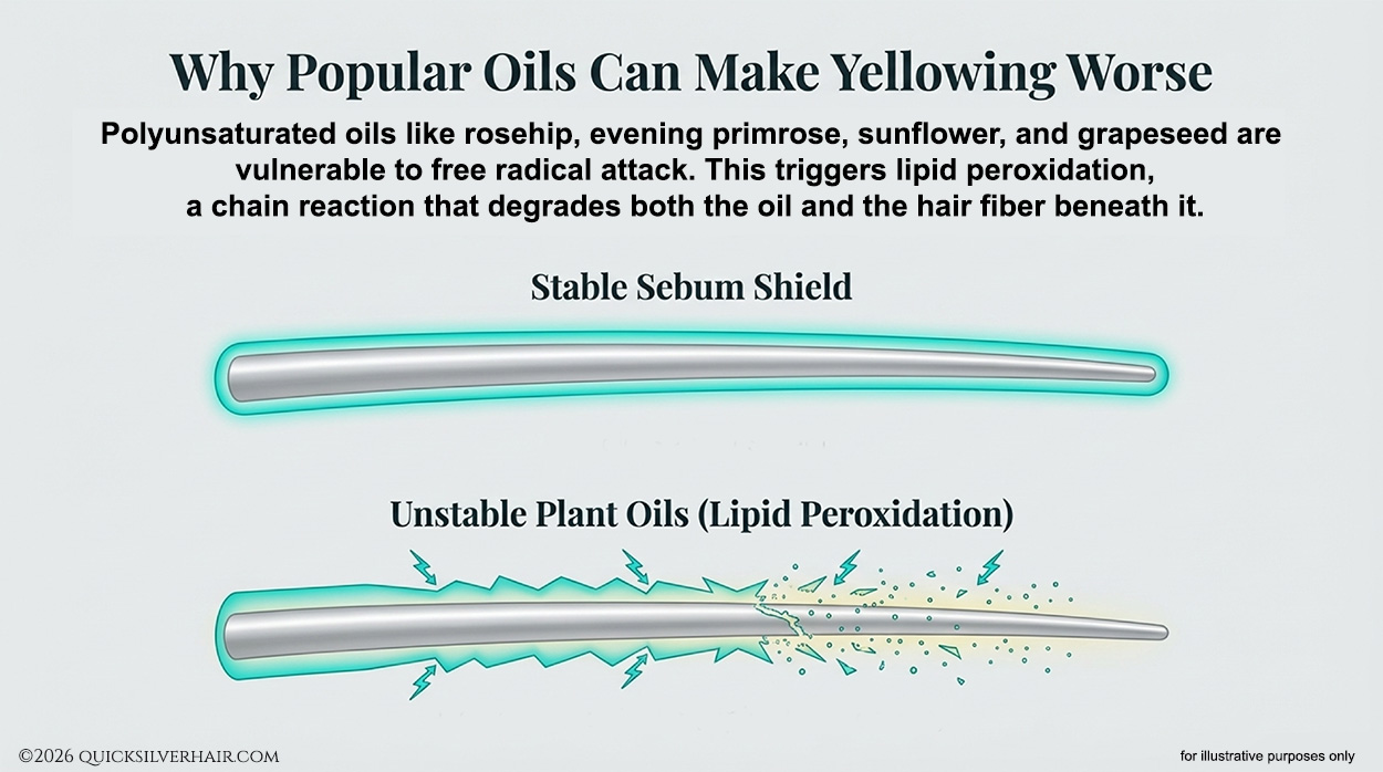 why oils can make yellowing worse infographic