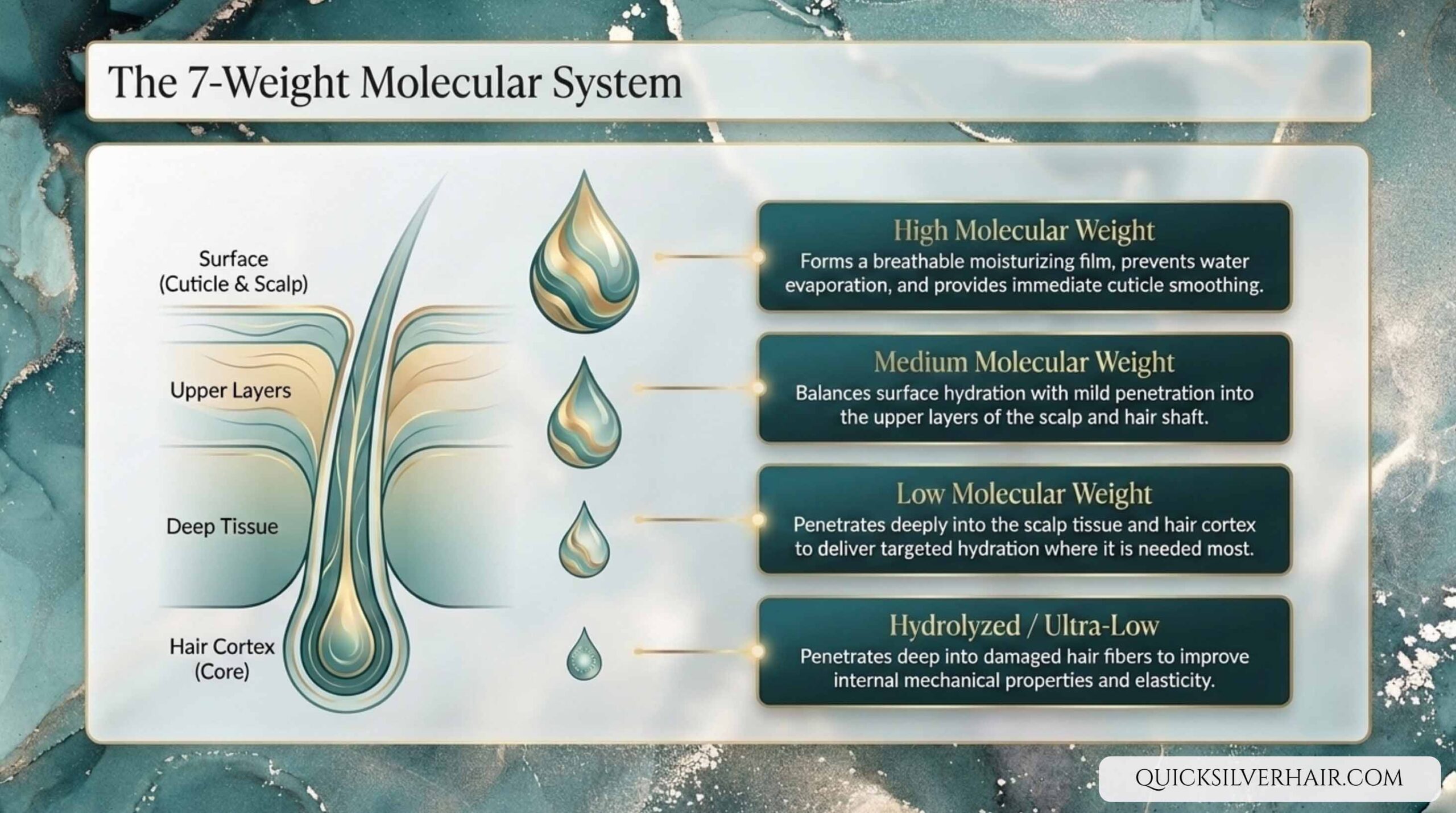 The 7 Weight Molecular System slide